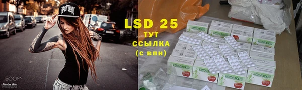 стафф Няндома