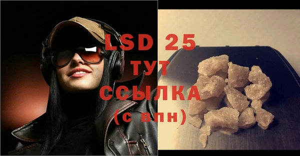 соль ск Новозыбков