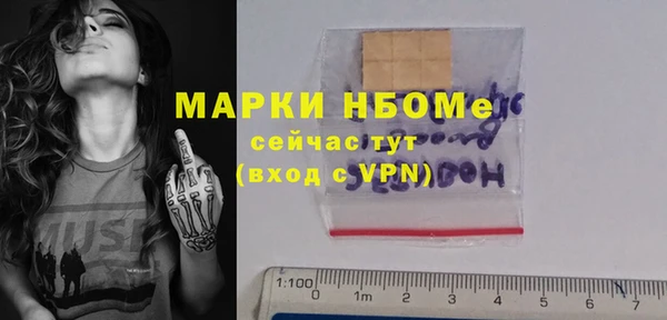 соль ск Новозыбков