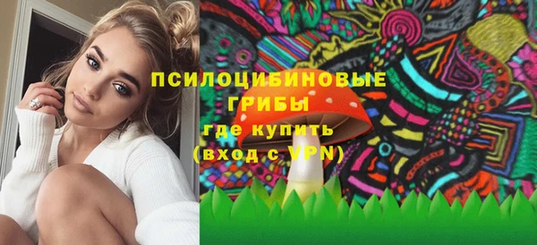 соль ск Новозыбков