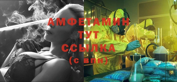 соль ск Новозыбков